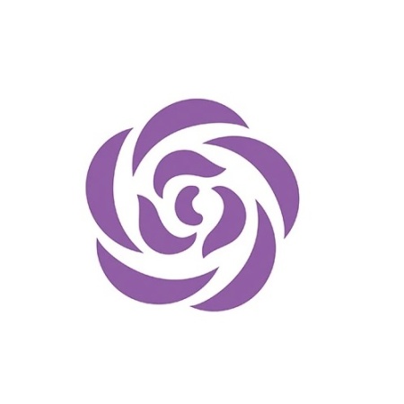 Жидкий краситель Топ продукт Аметистовый  30 гр