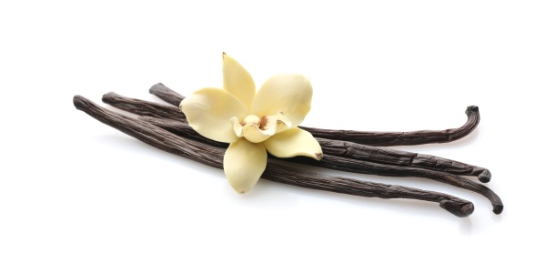 Ваниль в стручках Vanilla Bourbon Madagascar 16-20 см 1 шт