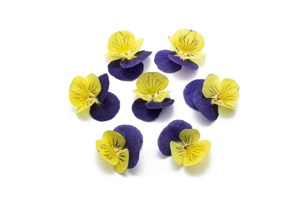 Виола обезвоженная Глаза кошки объёмная 15 шт